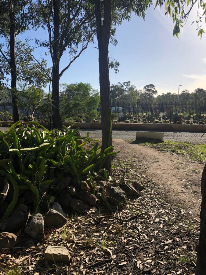 Australian Motor Home Tourist Park Twelve Mile Creek Karuah Exterior photo